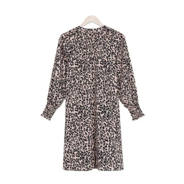 Attractive Leopard Long Sleeve Mini Dress